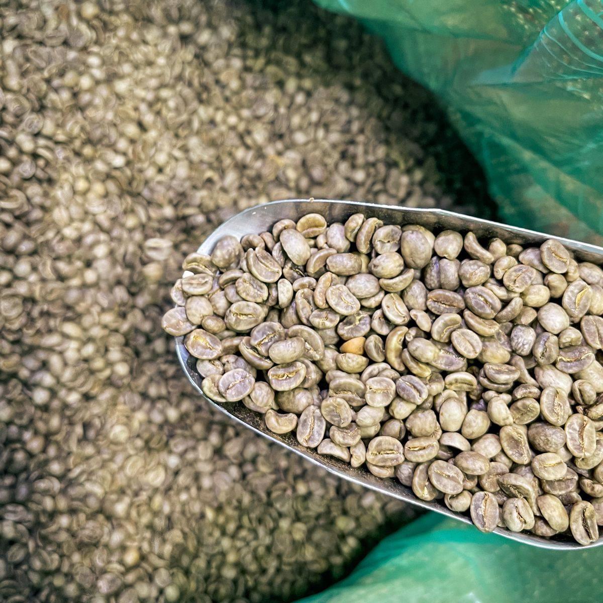 بن يوغندي فريش ( اكلموى )